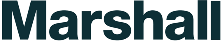 Constellation Automotive Group Logo